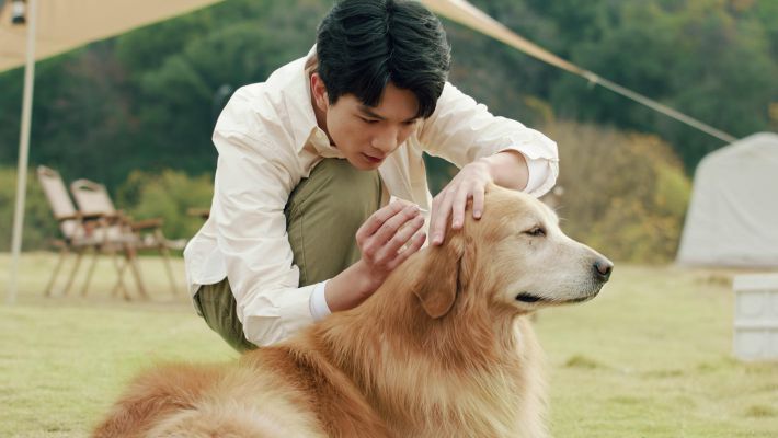 海正動保宣傳片